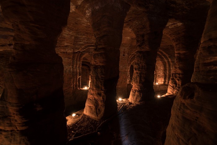 Տեղացիներն ուշադրություն չէին դարձնում ճագարի ԱՅՍ բնին. գիտնականները, պեղելով այն, կորցրին խոսելու ունակությունը…