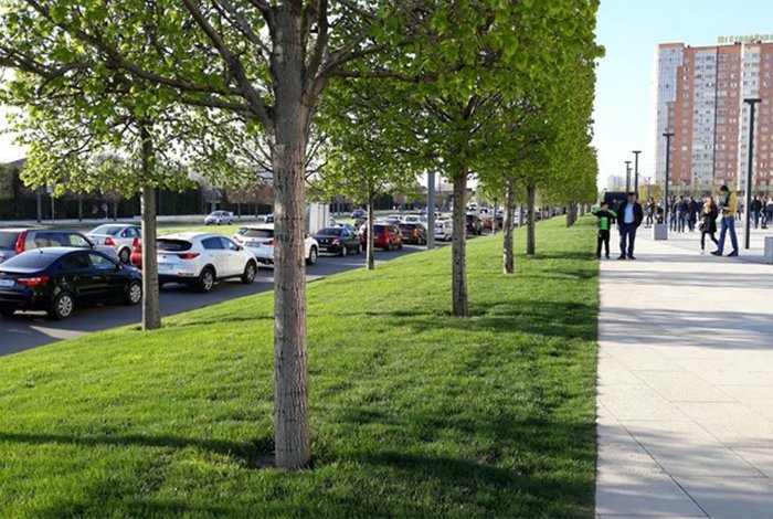 16 լուսանկար, որոնց միայն տեսքից պերֆեկցիոնիստները հիացմունքից կխենթանան