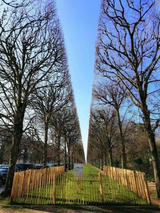 16 լուսանկար, որոնց միայն տեսքից պերֆեկցիոնիստները հիացմունքից կխենթանան