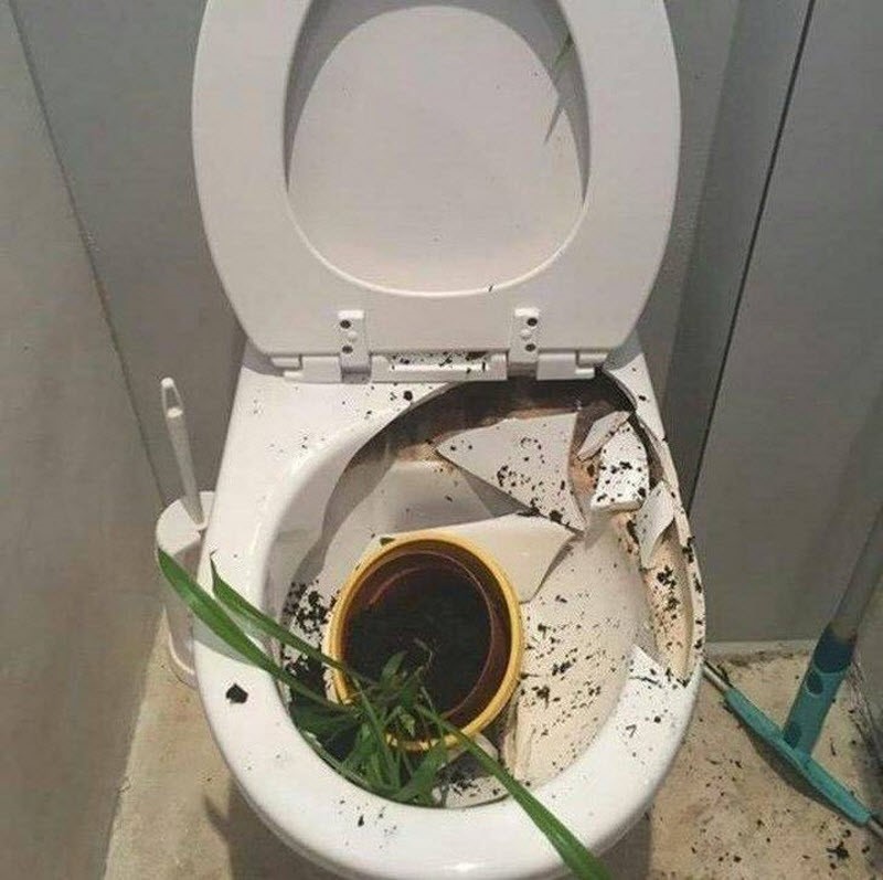 17 լուսանկար, որոնք հարյուր անգամ ավելի դրամատիկ են, քան ցանկացած բրազիլական սերիալ