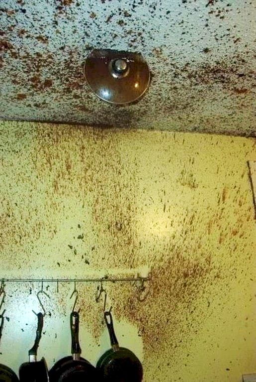 17 էպիկական ձախողումներ, որոնք ոչ ոք երբեք չի կարող կրկնել