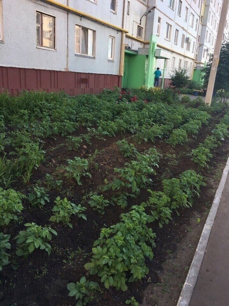 20 վիրտուոզներ, որոնք կարող են ցանկացած պահի լուծել ցանկացած խնդիր