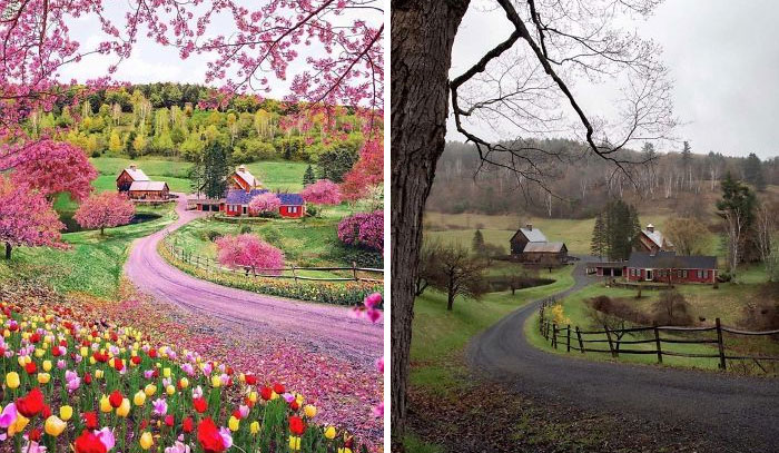 23 լուսանկար, որոնք ապացուցում են, որ Ինստագրամի իդեալական աշխարհը գոյություն չունի