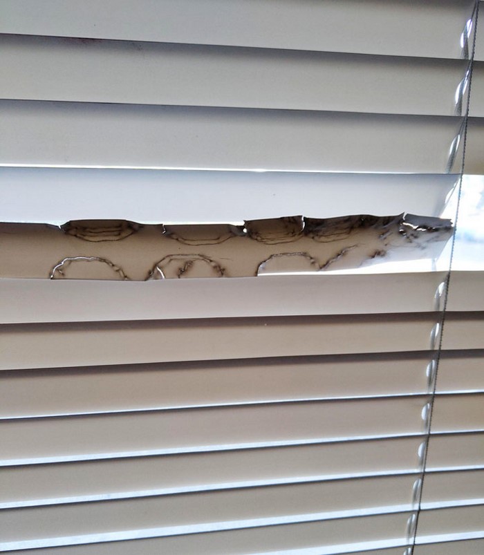 26 լուսանկար, որոնք ապացուցում են. Ծնողներին անհրաժեշտ է պողպատե նյարդեր