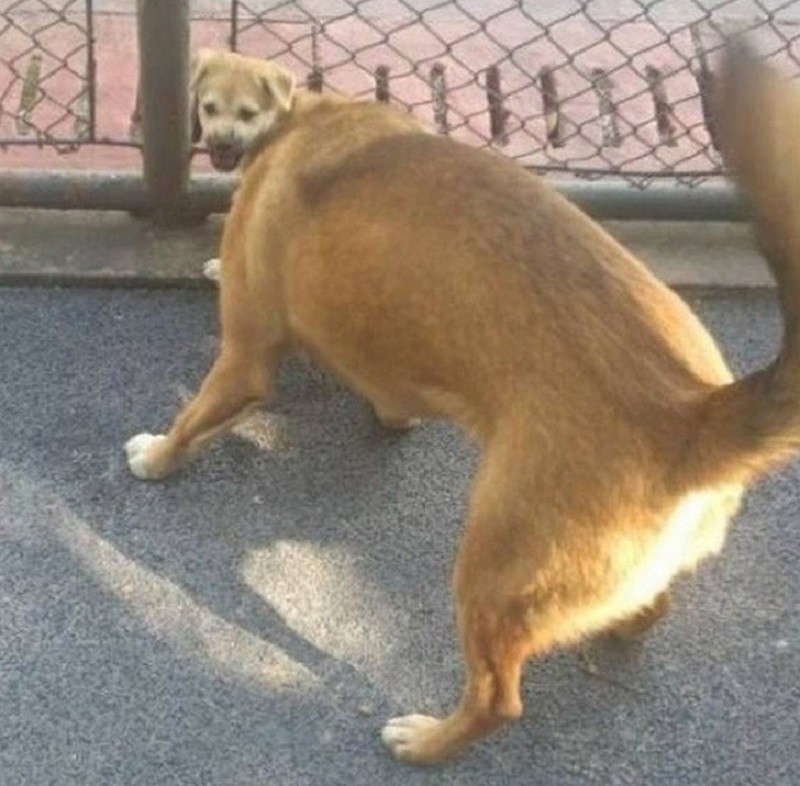 Մի հավատացեք ձեր աչքերին: 15 օպտիկական պատրանք, որոնք շփոթեցնում են բոլորին