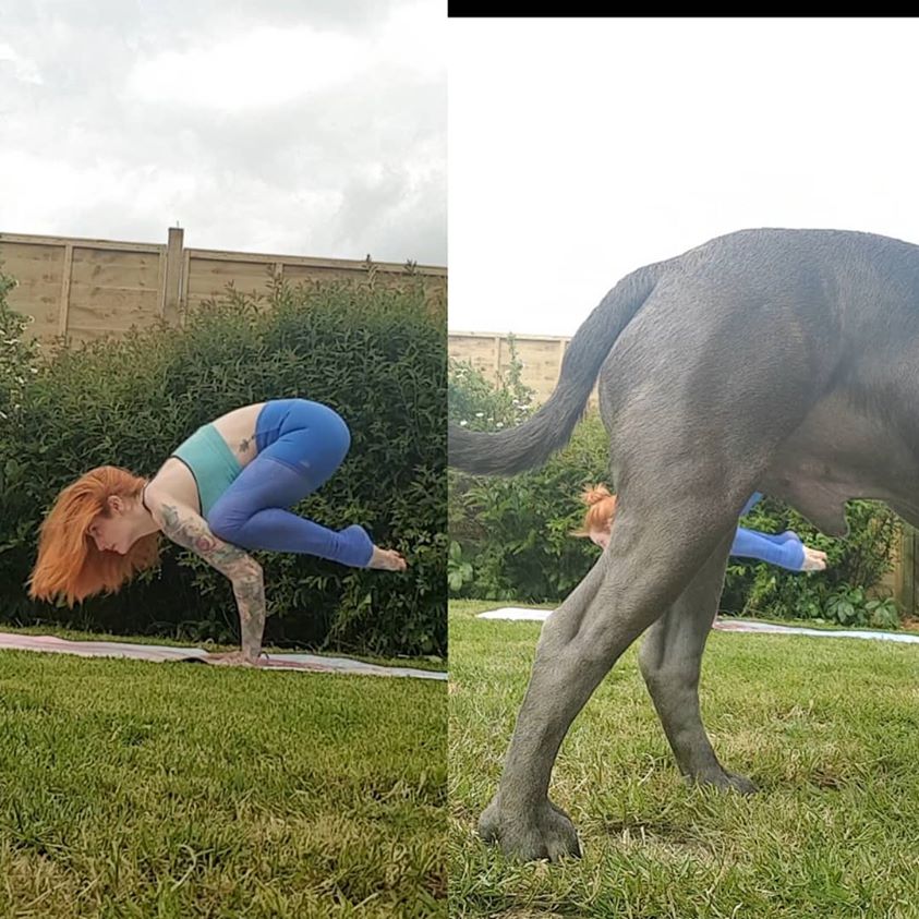 19 սկանդալային լուսանկարներ, որոնք բացահայտում են սոցցանցերի գլամուրային կերպարների գաղտնիքները