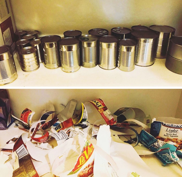 26 լուսանկար, որոնք ապացուցում են. Ծնողներին անհրաժեշտ է պողպատե նյարդեր