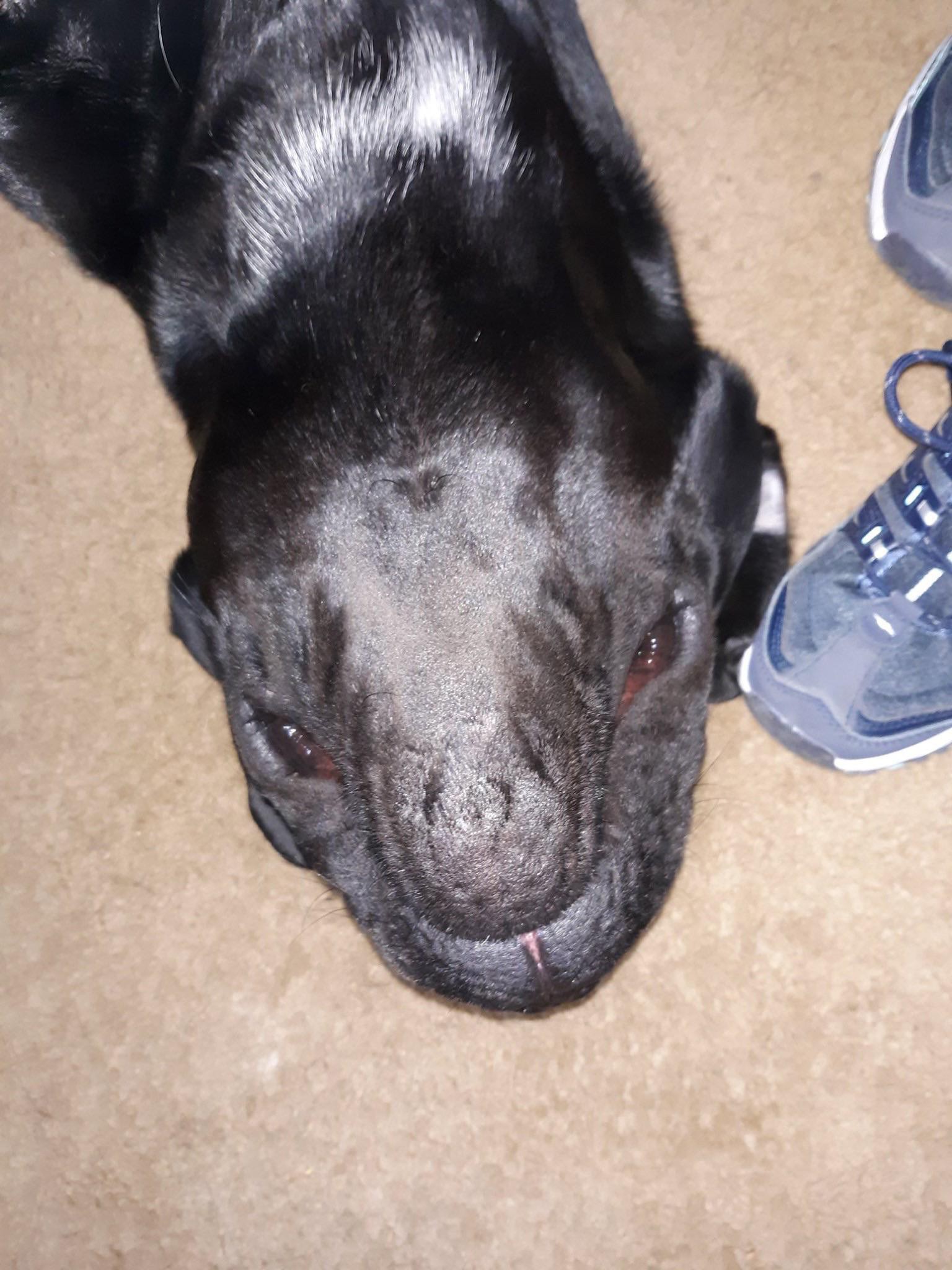 Մի հավատացեք ձեր աչքերին: 15 օպտիկական պատրանք, որոնք շփոթեցնում են բոլորին