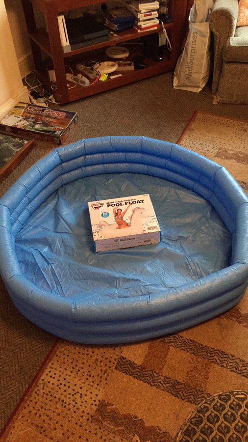 20 ձախողված առցանց գնումներ, որից հետո ցանկանում ես պահանջել վերադարձնել գումարը