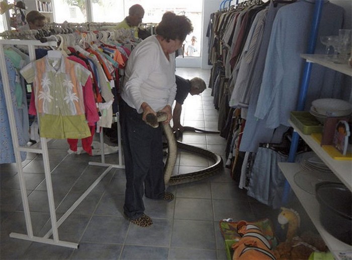 30 ապացույց այն մասին, թե որքան դժվար է ապրել Ավստրալիայում