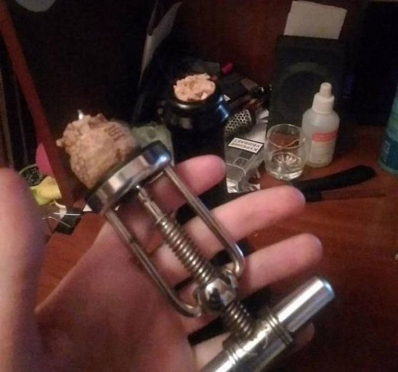 17 լուսանկար, որոնք հարյուր անգամ ավելի դրամատիկ են, քան ցանկացած բրազիլական սերիալ