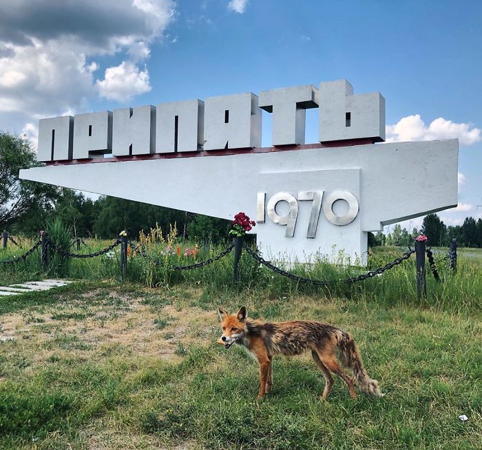 24 հազվագյուտ լուսանկարներ Չեռնոբիլից