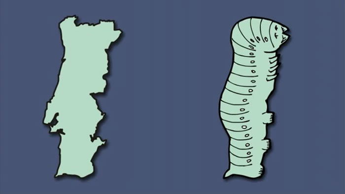 Ինչ-որ մեկը ձևափոխել է Եվրոպայի քարտեզը այնպես, որ կարծես երկրները «կենդանի» արարածներ լինեն