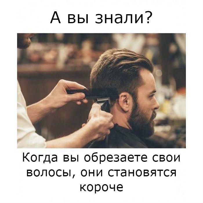 25 նկար, որոնք կստիպեն ձեզ գնահատել վարսահարդարի աշխատանքը