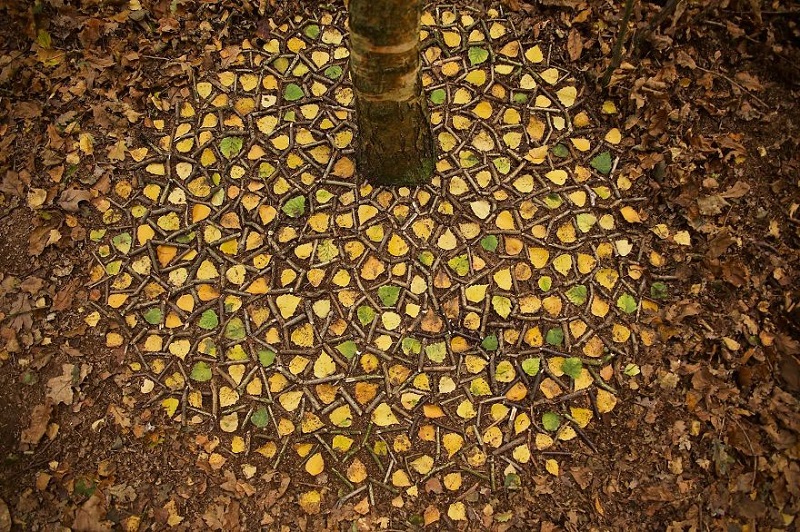 Նկարիչը գլուխգործոցներ է ստանում սովորական տերևներից, ճյուղերից ու քարերից։