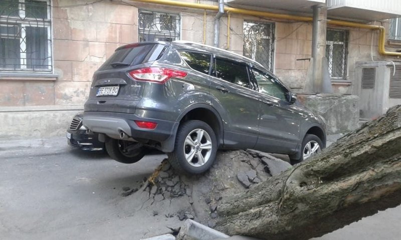 Միայն տեսեք, թե ինչ &laquo;հաջողակ&raquo; են այս մարդիկ. նրանք պարզապես հաղթող են կյանքում