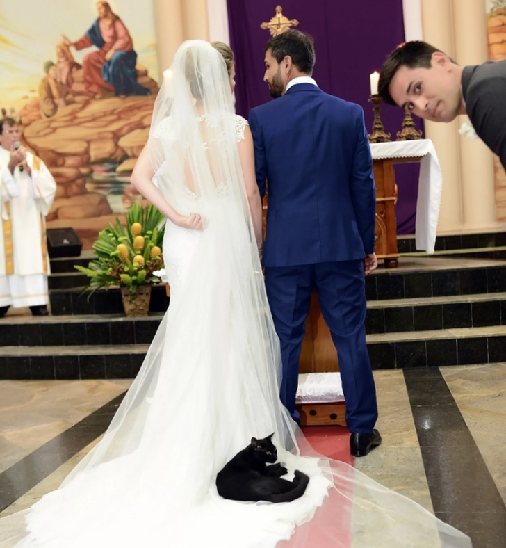 19 երիտասարդներ, ովքեր ապացուցել են, որ իդեալական հարսանիքներ միայն ֆիլմերում են լինում