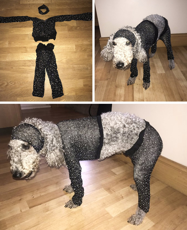 17 մարդիկ, ովքեր պատվիրել են համացանցից սովորական իրեր, բայց ստացել են անսպասելի անակնկալ։