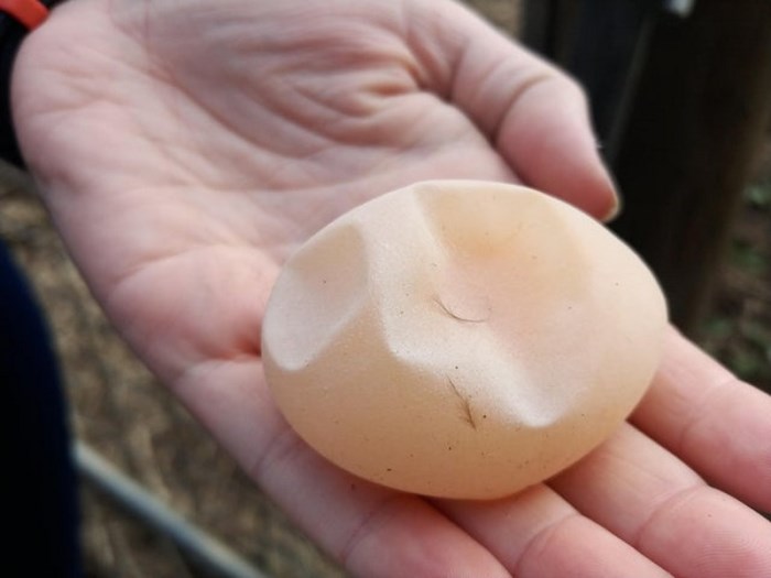 Անսովոր բաներ, որոնցից շատերը դուք առաջին անգամ կտեսնեք։