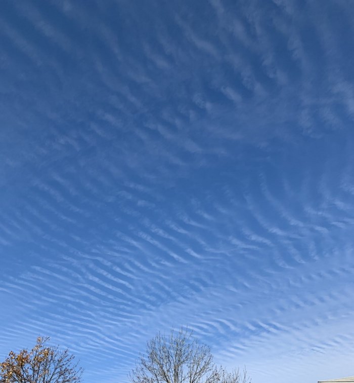 Անսովոր բաներ, որոնցից շատերը դուք առաջին անգամ կտեսնեք։