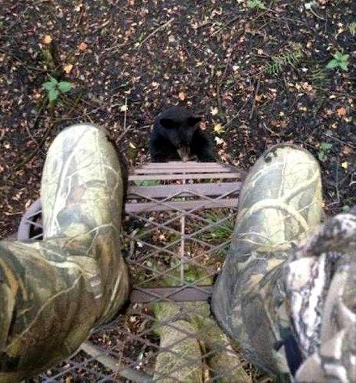 29 հետաքրքիր լուսանկարներ աշխարհում ամեն֊ինչի մասին, որոնք կարող են լուսավորել նույնիսկ ամենաձանձրալի օրը