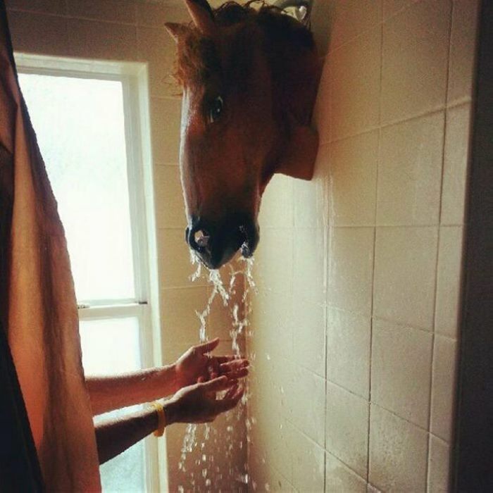 Դիզայներների ձախողված գաղափարներ, որոնք, որքան էլ որ զարմանալի է, ինչ-որ մեկը գնել է