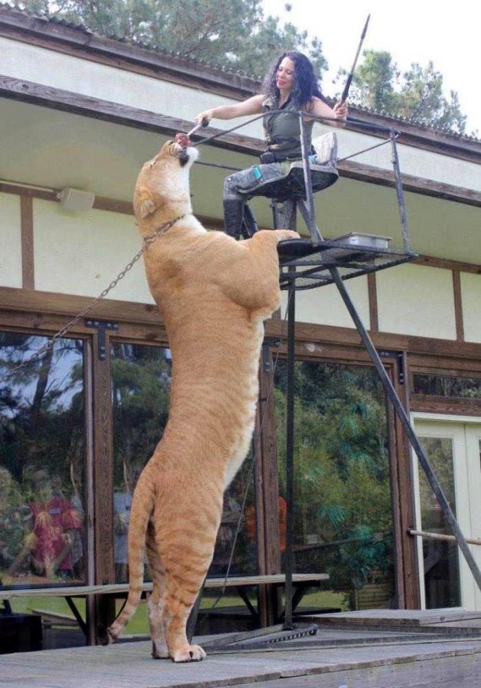 29 հետաքրքիր լուսանկարներ աշխարհում ամեն֊ինչի մասին, որոնք կարող են լուսավորել նույնիսկ ամենաձանձրալի օրը