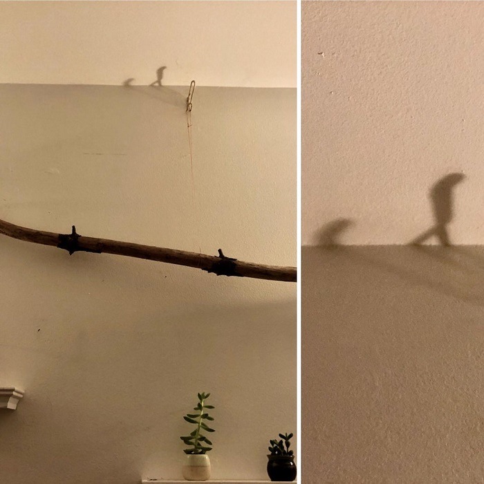 24 խորհրդավոր ու անսովոր ստվերներ, որոնք իրենց նենգությամբ հաստատ ուզում են մեզ խափել։