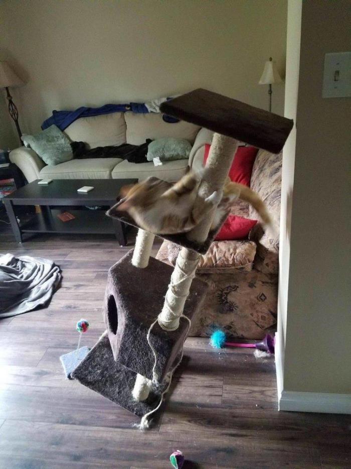 29 հետաքրքիր լուսանկարներ աշխարհում ամեն֊ինչի մասին, որոնք կարող են լուսավորել նույնիսկ ամենաձանձրալի օրը