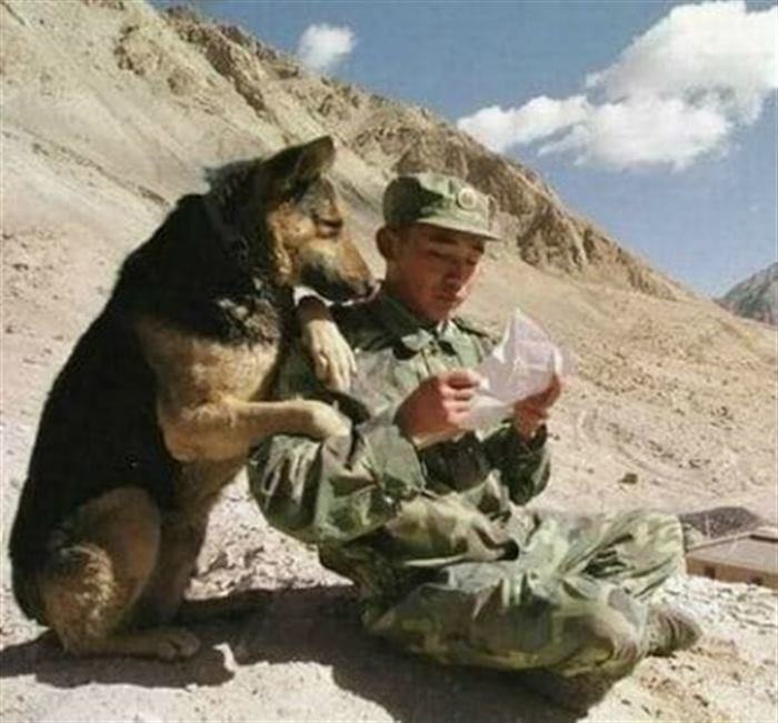 Խորիմաստ լուսանկարներ, որոնք տեսնելուց հետո ապրելու ցանկությունը մեծանում է