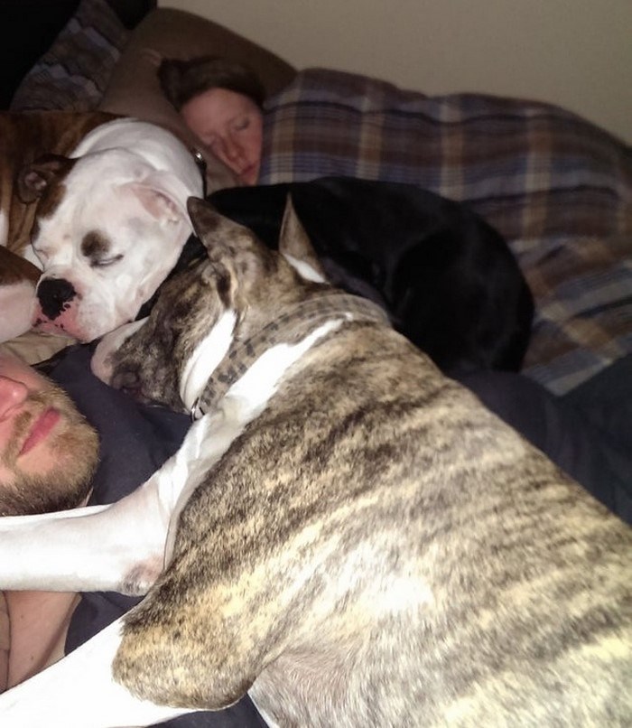 Ընտանեկան կյանքը նույնպես կարող է զվարճալի լինել... Լուսանկարներ, որոնք պատմում եմ ընտանեկան կյանքի բոլոր նրբությունների մասին