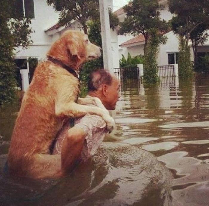 25 հետաքրքիր եւ խորաթափանց լուսանկարներ նրանց համար, ովքեր ձանձրացել են եւ ցանկանում են մի քիչ ցրվել։