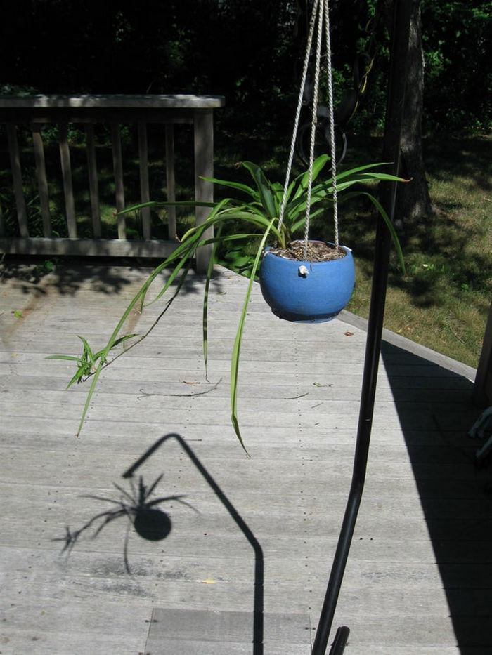 24 խորհրդավոր ու անսովոր ստվերներ, որոնք իրենց նենգությամբ հաստատ ուզում են մեզ խափել։