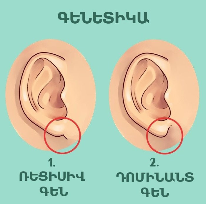 Իմացեք՝ ձեր ականջներն ինչ են ասում ձեր մասին