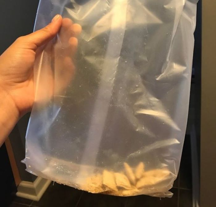 20 լուսանկարներ, որոնք ապացուցոում են, որ ընտանեկան կյանքը լի է անակնկալներով։