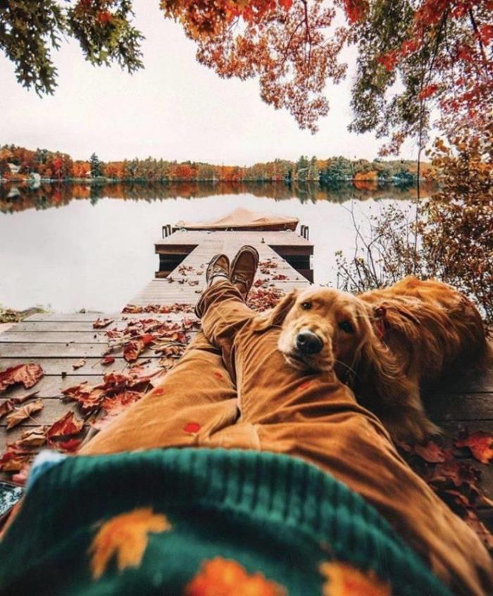 29 հետաքրքիր լուսանկարներ աշխարհում ամեն֊ինչի մասին, որոնք կարող են լուսավորել նույնիսկ ամենաձանձրալի օրը