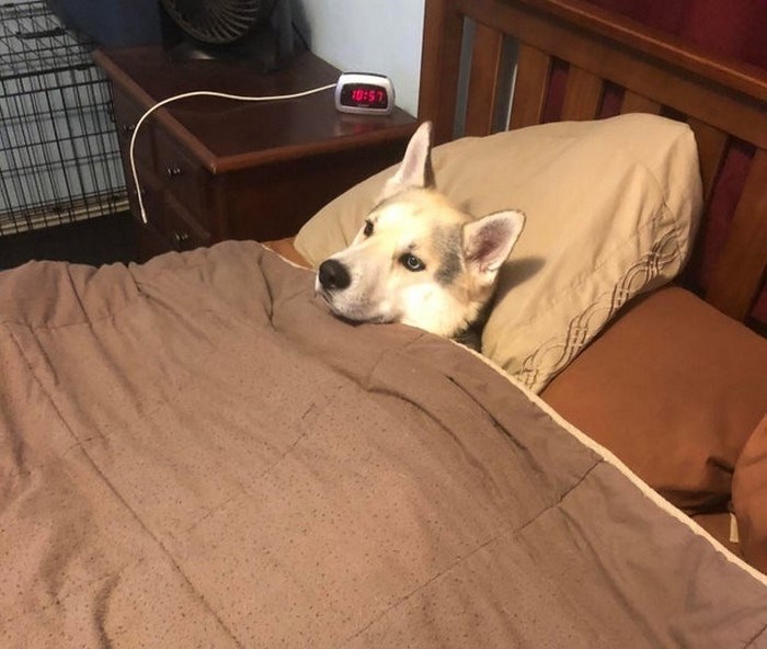 Ընտանեկան կյանքը նույնպես կարող է զվարճալի լինել... Լուսանկարներ, որոնք պատմում եմ ընտանեկան կյանքի բոլոր նրբությունների մասին