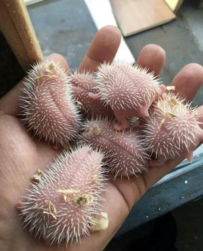 25 հետաքրքիր եւ խորաթափանց լուսանկարներ նրանց համար, ովքեր ձանձրացել են եւ ցանկանում են մի քիչ ցրվել։