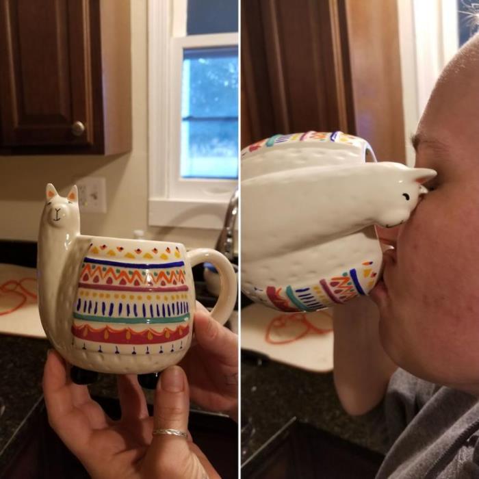 27 աբսուրդ ստեղծագործություններ, որոնց համար դիզայներներին պետք էր բանտ նստեցնել: