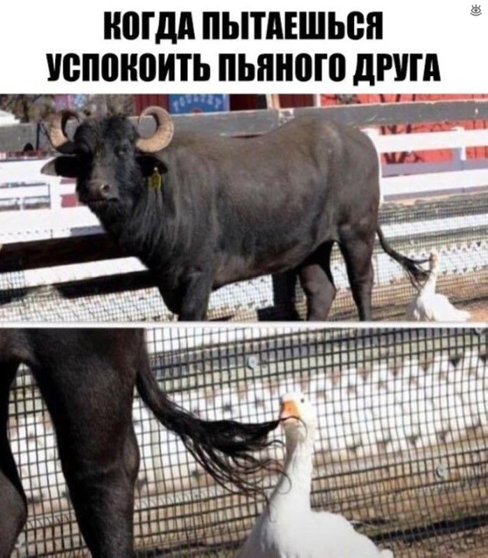 36 ֆոտոապացույց, որ կյանքը բարդ բան է