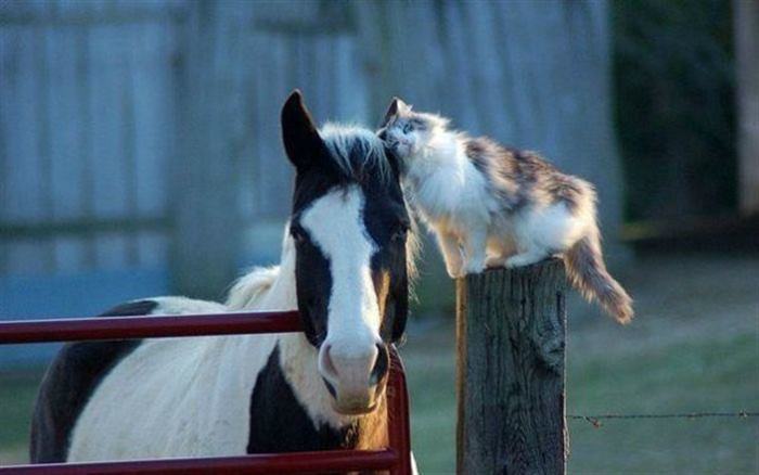 Խորիմաստ լուսանկարներ, որոնք տեսնելուց հետո ապրելու ցանկությունը մեծանում է