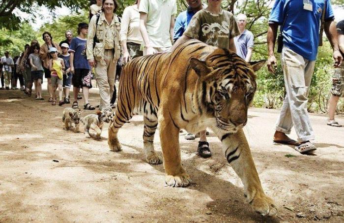 29 հետաքրքիր լուսանկարներ աշխարհում ամեն֊ինչի մասին, որոնք կարող են լուսավորել նույնիսկ ամենաձանձրալի օրը