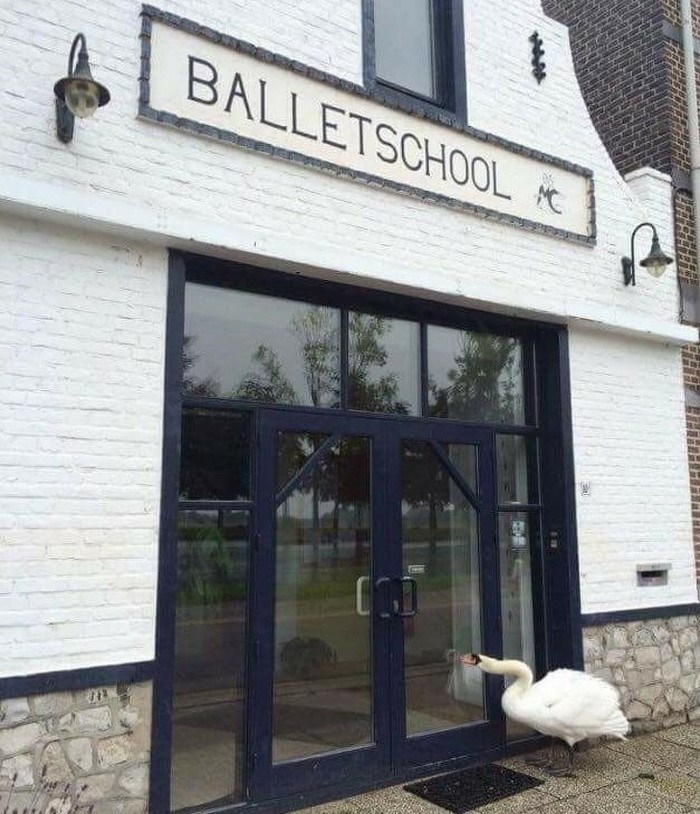 Ինչի՞ համար։ 26 աբսուրդ լուսանկարներ, որոնց մեջ ոչ մի կաթիլ տրամաբանություն չկա։