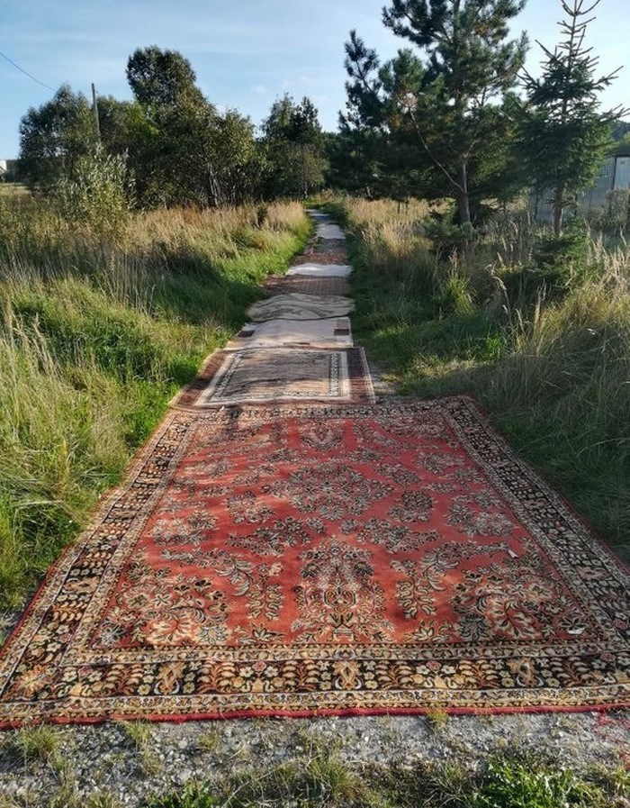 Ինչի՞ համար։ 26 աբսուրդ լուսանկարներ, որոնց մեջ ոչ մի կաթիլ տրամաբանություն չկա։