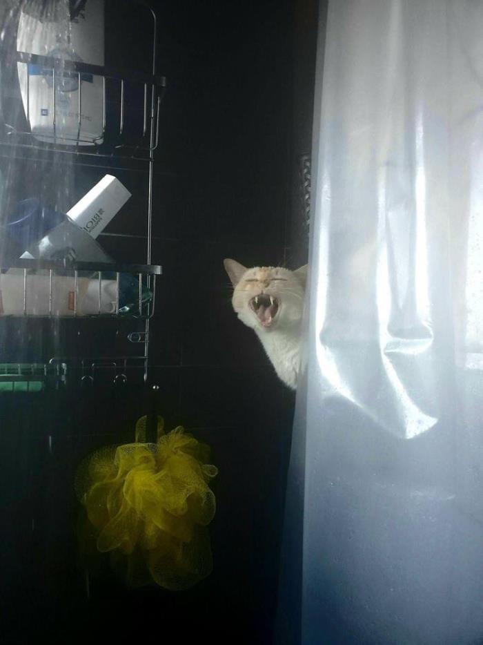 25 հետաքրքիր եւ խորաթափանց լուսանկարներ նրանց համար, ովքեր ձանձրացել են եւ ցանկանում են մի քիչ ցրվել։