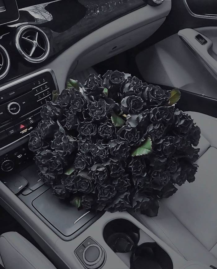 Ահա՛, թե ինչ է նշանակում դիզայների քմահաճույք: 30 թույն լուսանկարներ քմահաճ դիզայներից՝ &laquo;Ամեն֊ինչ սև&raquo;