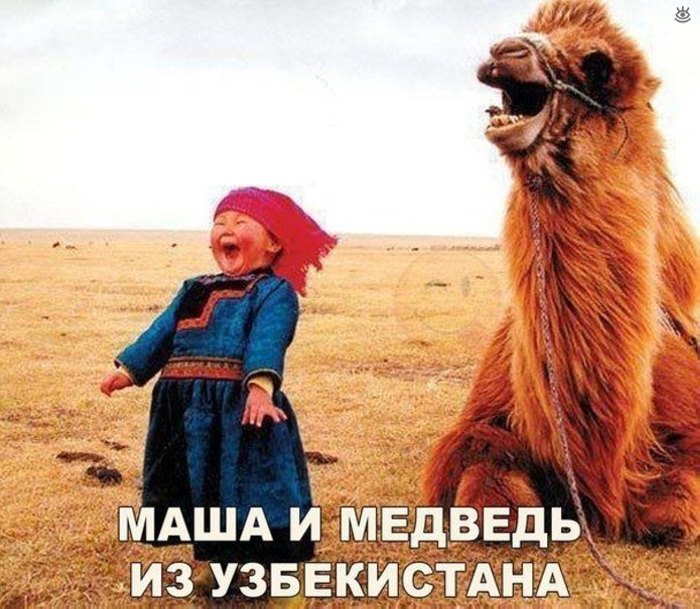 36 ֆոտոապացույց, որ կյանքը բարդ բան է