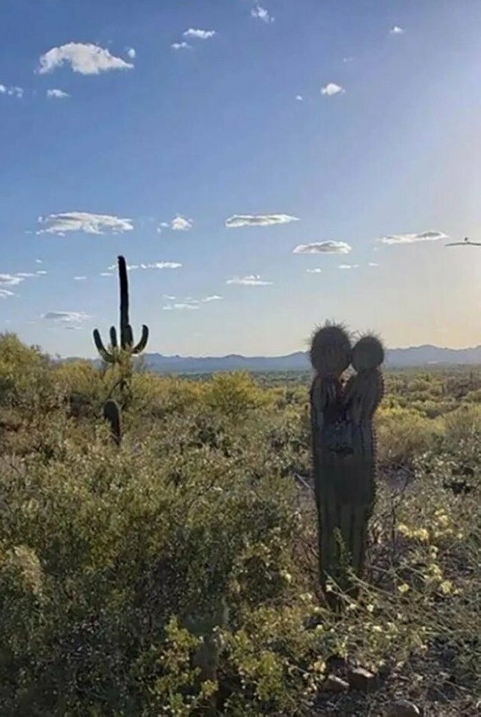 15 խաբուսիկ պատրանքներ, որոնց վրա արժե ուղեղն աշխատեցնել