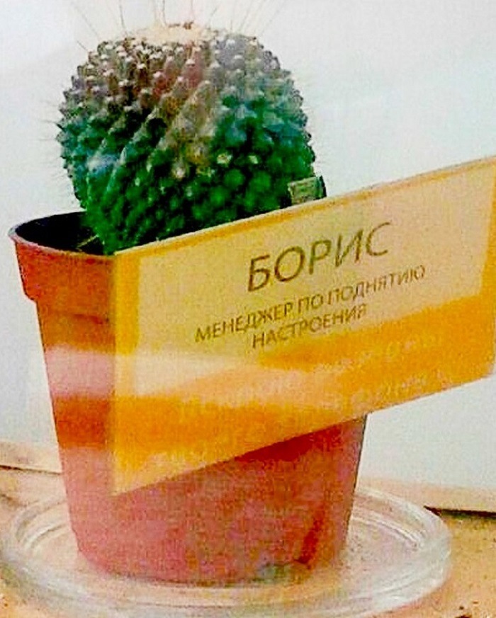 25 մարդիկ, որոնց հստակորեն կարելի է համարել տարվա &laquo;լավագույն աշխատակից&raquo;