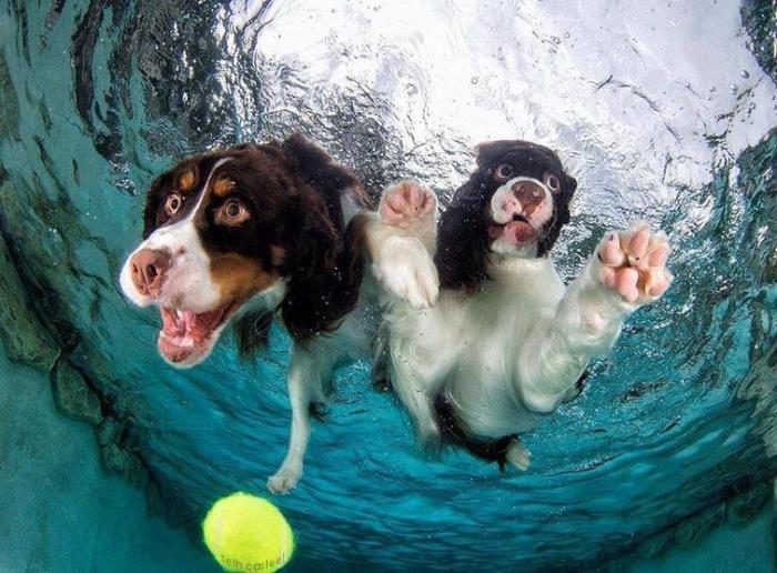 25 հետաքրքիր եւ խորաթափանց լուսանկարներ նրանց համար, ովքեր ձանձրացել են եւ ցանկանում են մի քիչ ցրվել։